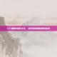 CF最新神器大全，游戏装备的极致追求