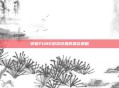 掌握PUBG游戏设置的最佳策略