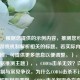 （注，根据您提供的示例内容，推测您可能需要与游戏机制解析相关的标题。若实际内容主题不同，可提供更多信息以便调整。），建议（根据推测主题），，COD16击杀无效？详解判定机制与常见争议，为什么COD16击杀不计数？全面解析判定逻辑，COD16击杀判定全指南，从机制到问题排查，方向或提供更多关键词，我将优化标题精准度。