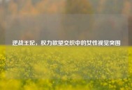 逆战王妃，权力欲望交织中的女性视觉突围