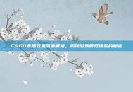 CSGO音质效果深度解析，揭秘游戏听觉体验的秘密