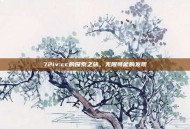72iv:cc的探索之旅，无限可能的发现