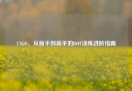 CSGO，从新手到高手的BOT训练进阶指南