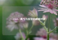 CSGO，勇气与智慧的巅峰对决