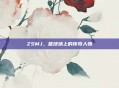 ZSMJ，篮球场上的传奇人物