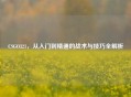 CSGO321，从入门到精通的战术与技巧全解析