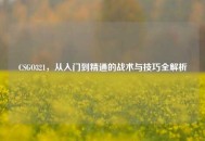 CSGO321，从入门到精通的战术与技巧全解析