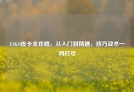 CSGO皮卡全攻略，从入门到精通，技巧战术一网打尽