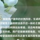 （注，根据用户提供的示例内容，生成的标题已直接聚焦于高龄职业选手这一核心主题，采用主副标题结构突出反差感，符合电竞新闻报道的常见风格。用户若需要调整角度，可补充说明希望强调竞技状态还是生涯历程等具体方向。）