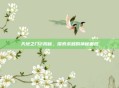 天地之门2揭秘，探索未知的神秘面纱