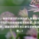 （注，根据您提供的示例内容，推测您可能需要一个与游戏故障排除相关的标题。若实际内容不同，请提供具体文本以便生成更精准的标题。）
