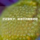 逆战莫妮卡，硝烟中的爱情绝唱