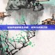 稻妻声望解锁全攻略，探索与成就之旅