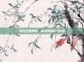 洛克王国弹珠，探索其用途与价值