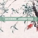 洛克王国弹珠，探索其用途与价值