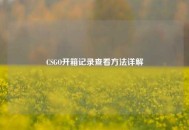 CSGO开箱记录查看方法详解