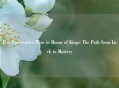 Five Consecutive Wins in Honor of Kings: The Path from Luck to Mastery