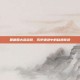 圆明园古莲绽放，历史遗迹中的自然奇迹