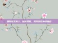 盟军敢死队3，密码揭秘，揭开历史神秘面纱