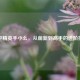 和平精英手小幺，从萌新到高手的进阶指南