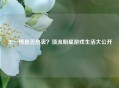 王一博是否热衷？顶流明星游戏生活大公开