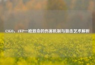 CSGO，AWP一枪致命的伤害机制与狙击艺术解析