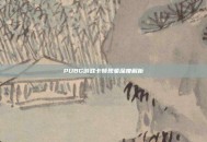 PUBG游戏卡顿现象深度解析