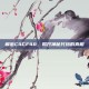 解密C4CF48，揭开神秘代码的真相