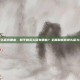 和平精英头盔有哪些，和平精英头盔有哪些？全面解析各类头盔与实战选择