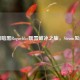 国风暗黑Roguelike暖雪破冰之旅，Steam见闻录