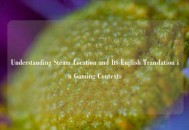 Understanding Steam Location and Its English Translation in Gaming Contexts