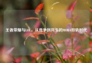 王者荣耀与LOL，从竞争到共生的MOBA双轨时代
