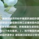 （注，根据您提供的和平精英奶油陷抄袭风波，游戏皮肤设计被指剽窃独立店铺创意内容，这本身就是完整的标题。若需重新生成类似标题，可参考以下优化版本，），和平精英奶油甜心皮肤陷抄袭争议 被指剽窃原创设计师作品