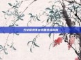 少女前线夜战装备选择指南