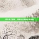 任天堂三国杀，策略与乐趣的完美融合