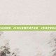 pubg怎么切换宠物，PUBG宠物切换全攻略，3步搞定你的战场小伙伴