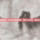pubg中端机推荐，PUBG中端机推荐，预算5000元，畅玩吃鸡不掉帧