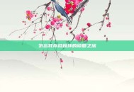 勿忘我存档损坏的修复之旅