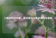 三国杀双开攻略，高效操作与实战技巧全解析