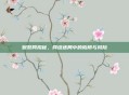 贼奶网揭秘，网络迷局中的陷阱与风险