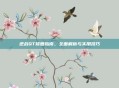 逆战QT修复指南，全面解析与实用技巧