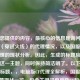 根据您提供的内容，最核心的信息是询问电脑版CF（穿越火线）的代理情况，以及国服与全球代理的现状分析。因此，生成的标题应直接聚焦这一主题，同时保持简洁明了。以下是建议的标题，，电脑版CF代理全解析，国服与全球运营现状一览，包含关键词电脑版CF和代理，直接命中用户搜索需求，全解析突出内容深度，国服与全球运营现状明确覆盖两个核心维度，保持中立客观的陈述语气，长度适中（16字），适合作为文章标题，如果需要更简短的版本，也可考虑，，穿越火线PC版代理现状，国服vs全球