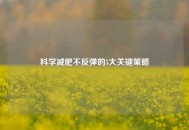 科学减肥不反弹的5大关键策略