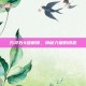 万灵石4级解锁，神秘力量的钥匙