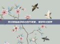 梦幻诛仙启灵核心技巧掌握,畅享梦幻境界