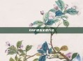 DNF退出全屏方法