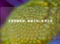 王者荣耀袁绍，枭雄之志，乱世之声