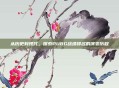 从历史到现代，探索PUBG战绩排名的演变历程