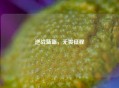 逆战蓝盔，无畏征程