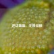 逆战蓝盔，无畏征程